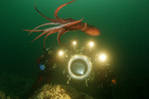 тайны подводного мира 3d